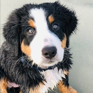 Meet your Posher, Kelli